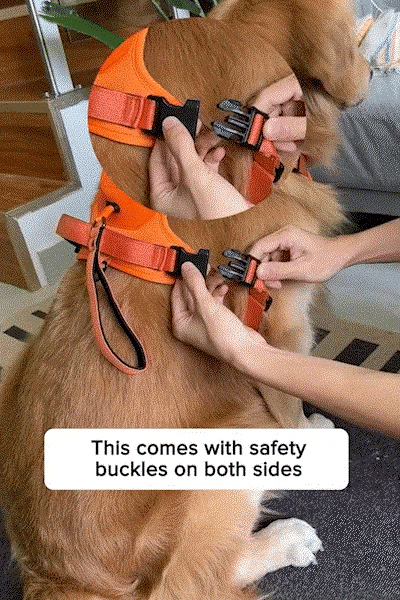 3 in 1 Dog Harness with Built-In Leash